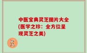 中医宝典灵芝图片大全(医学之珍：全方位呈现灵芝之美)