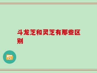斗龙芝和灵芝有那些区别