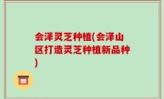 会泽灵芝种植(会泽山区打造灵芝种植新品种)