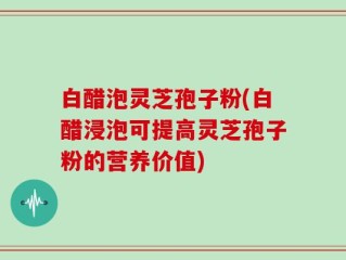 白醋泡灵芝孢子粉(白醋浸泡可提高灵芝孢子粉的营养价值)