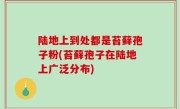 陆地上到处都是苔藓孢子粉(苔藓孢子在陆地上广泛分布)