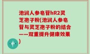 池润人参皂苷hR2灵芝孢子粉(池润人参皂苷与灵芝孢子粉的结合——双重提升健康效果)