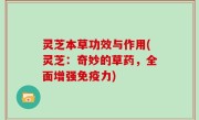 灵芝本草功效与作用(灵芝：奇妙的草药，全面增强免疫力)