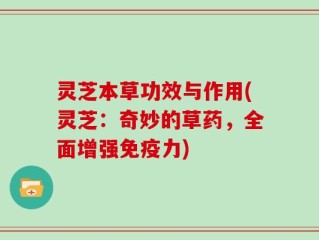 灵芝本草功效与作用(灵芝：奇妙的草药，全面增强免疫力)