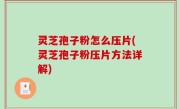 灵芝孢子粉怎么压片(灵芝孢子粉压片方法详解)