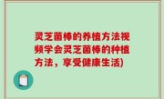 灵芝菌棒的养植方法视频学会灵芝菌棒的种植方法，享受健康生活)