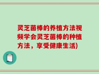 灵芝菌棒的养植方法视频学会灵芝菌棒的种植方法，享受健康生活)