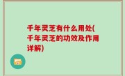 千年灵芝有什么用处(千年灵芝的功效及作用详解)