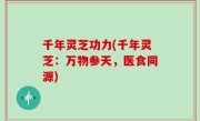 千年灵芝功力(千年灵芝：万物参天，医食同源)