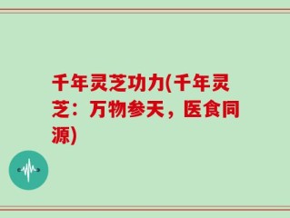 千年灵芝功力(千年灵芝：万物参天，医食同源)