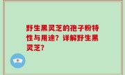 野生黑灵芝的孢子粉特性与用途？详解野生黑灵芝？