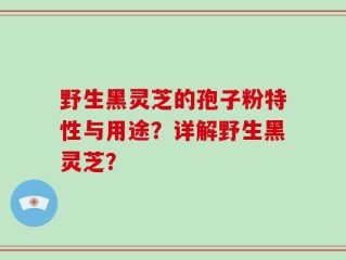 野生黑灵芝的孢子粉特性与用途？详解野生黑灵芝？