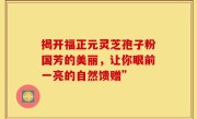 揭开福正元灵芝孢子粉国芳的美丽，让你眼前一亮的自然馈赠”