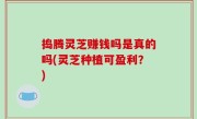 捣腾灵芝赚钱吗是真的吗(灵芝种植可盈利？)