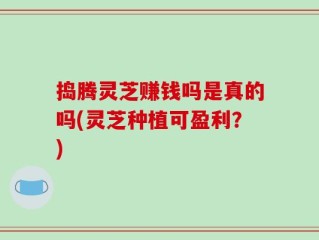 捣腾灵芝赚钱吗是真的吗(灵芝种植可盈利？)