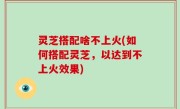 灵芝搭配啥不上火(如何搭配灵芝，以达到不上火效果)