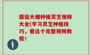 蘑菇大棚种植灵芝视频大全(学习灵芝种植技巧，看这个完整视频教程！