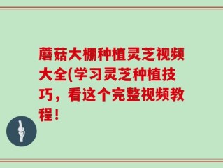 蘑菇大棚种植灵芝视频大全(学习灵芝种植技巧，看这个完整视频教程！