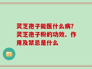 灵芝孢子能医什么病？灵芝孢子粉的功效、作用及禁忌是什么