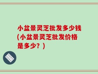 小盆景灵芝批发多少钱(小盆景灵芝批发价格是多少？)
