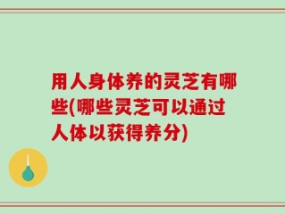 用人身体养的灵芝有哪些(哪些灵芝可以通过人体以获得养分)