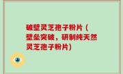 破壁灵芝孢子粉片 (壁垒突破，研制纯天然灵芝孢子粉片)