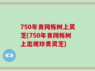 750年青冈栎树上灵芝(750年青冈栎树上出现珍贵灵芝)