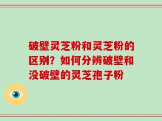 破壁灵芝粉和灵芝粉的区别？如何分辨破壁和没破壁的灵芝孢子粉