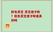 野生灵芝 灵芝孢子粉？敖东灵芝孢子粉是真的吗
