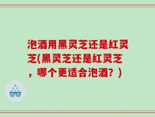 泡酒用黑灵芝还是红灵芝(黑灵芝还是红灵芝，哪个更适合泡酒？)