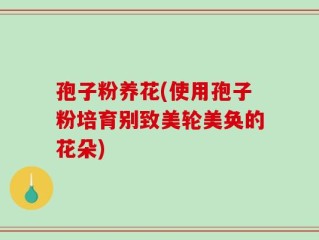 孢子粉养花(使用孢子粉培育别致美轮美奂的花朵)