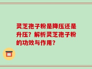 灵芝孢子粉是降压还是升压？解析灵芝孢子粉的功效与作用？