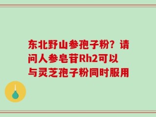 东北野山参孢子粉？请问人参皂苷Rh2可以与灵芝孢子粉同时服用