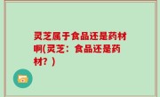 灵芝属于食品还是药材啊(灵芝：食品还是药材？)