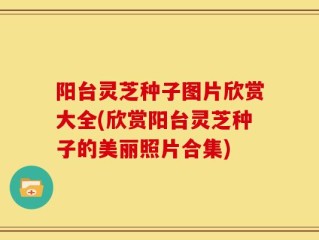 阳台灵芝种子图片欣赏大全(欣赏阳台灵芝种子的美丽照片合集)