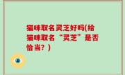 猫咪取名灵芝好吗(给猫咪取名“灵芝”是否恰当？)
