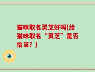 猫咪取名灵芝好吗(给猫咪取名“灵芝”是否恰当？)