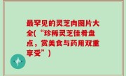 最罕见的灵芝肉图片大全(“珍稀灵芝佳肴盘点，赏美食与药用双重享受”)