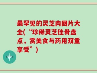 最罕见的灵芝肉图片大全(“珍稀灵芝佳肴盘点，赏美食与药用双重享受”)