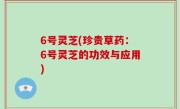 6号灵芝(珍贵草药：6号灵芝的功效与应用)