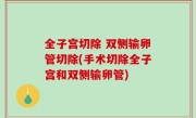 全子宫切除 双侧输卵管切除(手术切除全子宫和双侧输卵管)