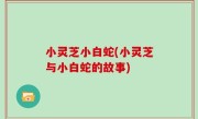 小灵芝小白蛇(小灵芝与小白蛇的故事)