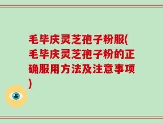 毛毕庆灵芝孢子粉服(毛毕庆灵芝孢子粉的正确服用方法及注意事项)