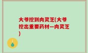 大爷挖到肉灵芝(大爷挖出重要药材—肉灵芝)