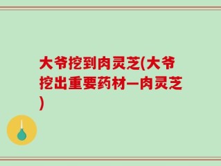 大爷挖到肉灵芝(大爷挖出重要药材—肉灵芝)