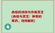 肉桂的功效与作用灵芝(肉桂与灵芝：神奇的草药，功效解析)