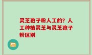 灵芝孢子粉人工的？人工种植灵芝与灵芝孢子粉区别