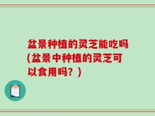 盆景种植的灵芝能吃吗(盆景中种植的灵芝可以食用吗？)