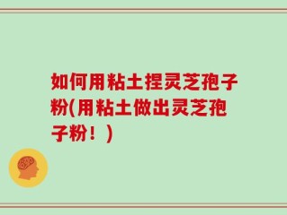 如何用粘土捏灵芝孢子粉(用粘土做出灵芝孢子粉！)