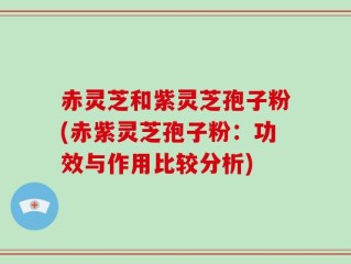 赤灵芝和紫灵芝孢子粉(赤紫灵芝孢子粉：功效与作用比较分析)